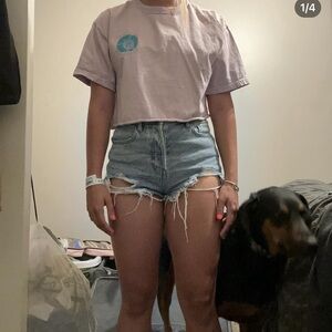 T shirt size m